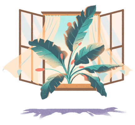 Window promo